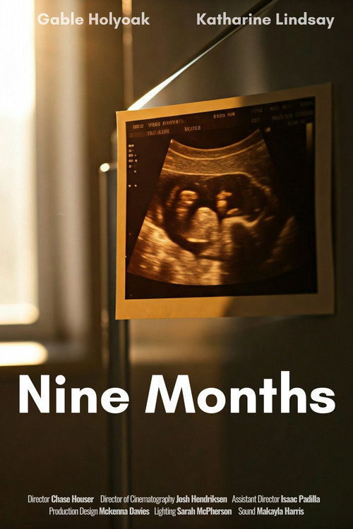 Nine Months poster