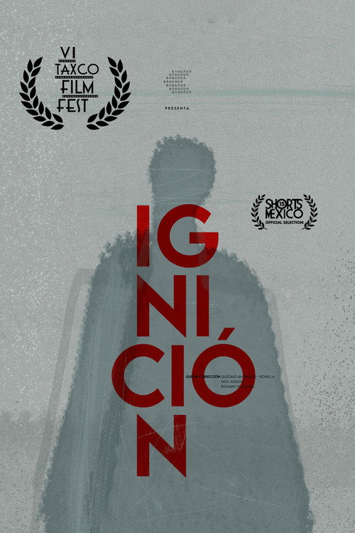 Ignition poster