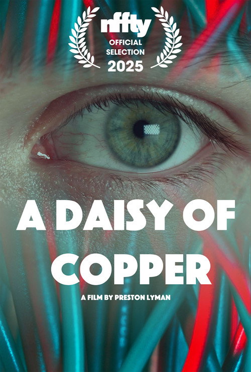 A Daisy of Copper poster