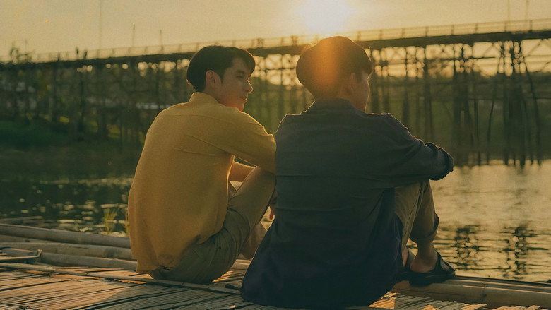 Colorful Melody still 2