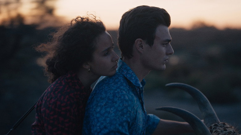 Animale still 4
