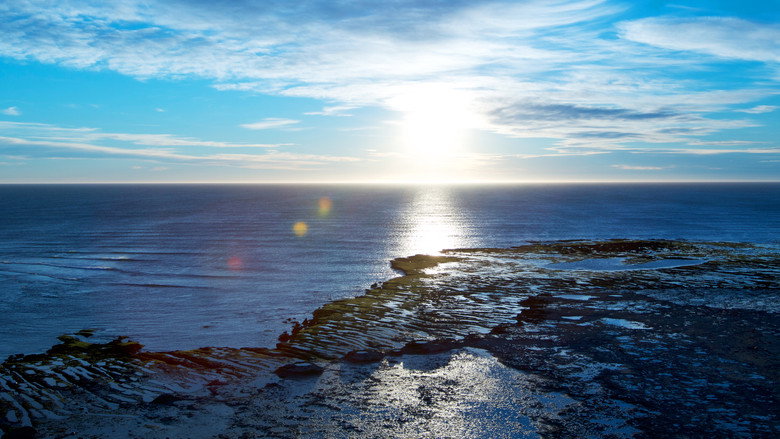 Wild Argentina still 8