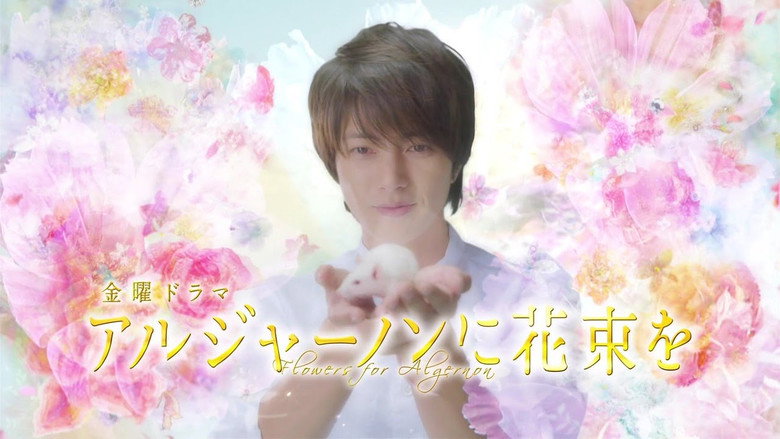 Flowers for Algernon still 1