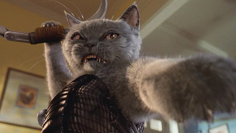 Cats & Dogs still 7