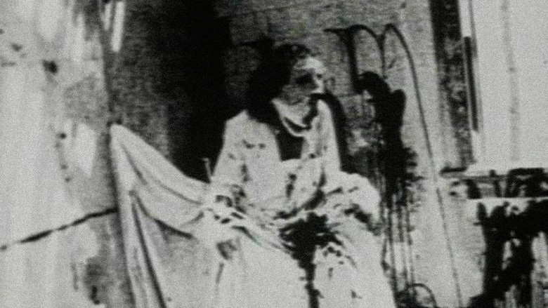 Begotten still 1