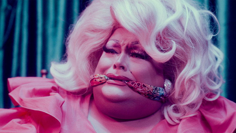 Stan Behavior still 4