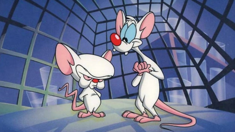 Pinky and the Brain still 5