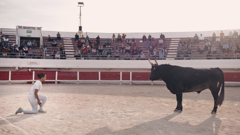 Animale still 5
