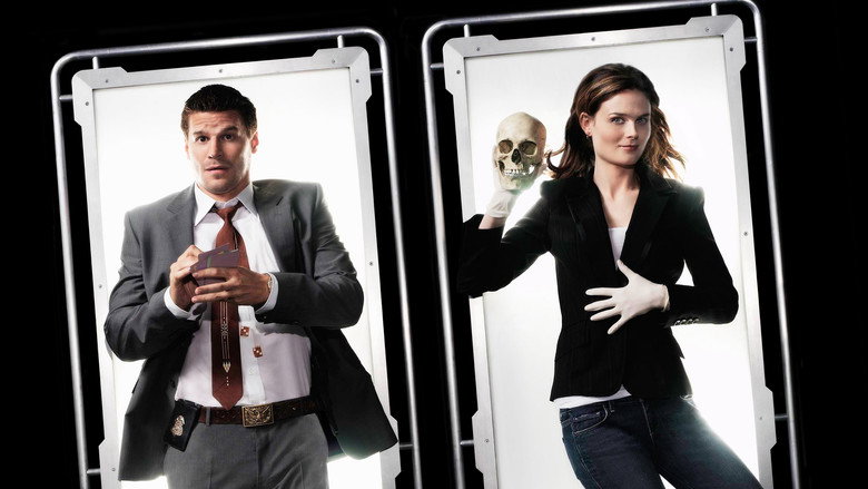 Bones still 3