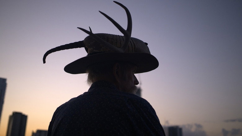 Armadillo Man: The Trips of Jim Franklin still 1