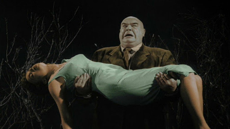 Plan 9 from Outer Space still 7